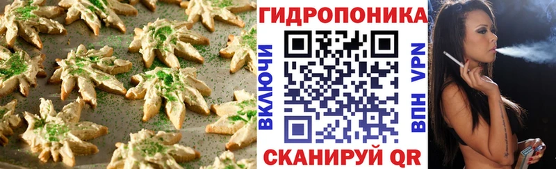 Купить закладки  Свободный  Печенье с ТГК конопля 