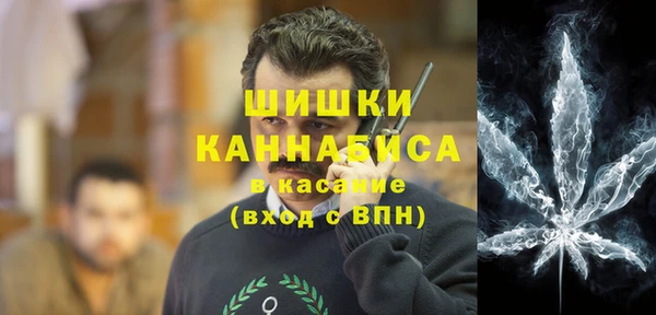 Альфа ПВП Горно-Алтайск