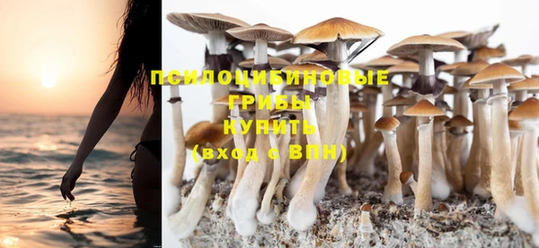 кокаин премиум Горнозаводск