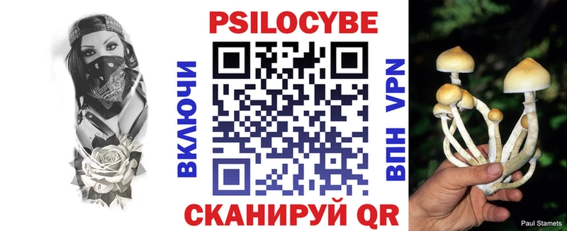 Купить закладки Свободный Псилоцибиновые грибы GOLDEN TEACHER